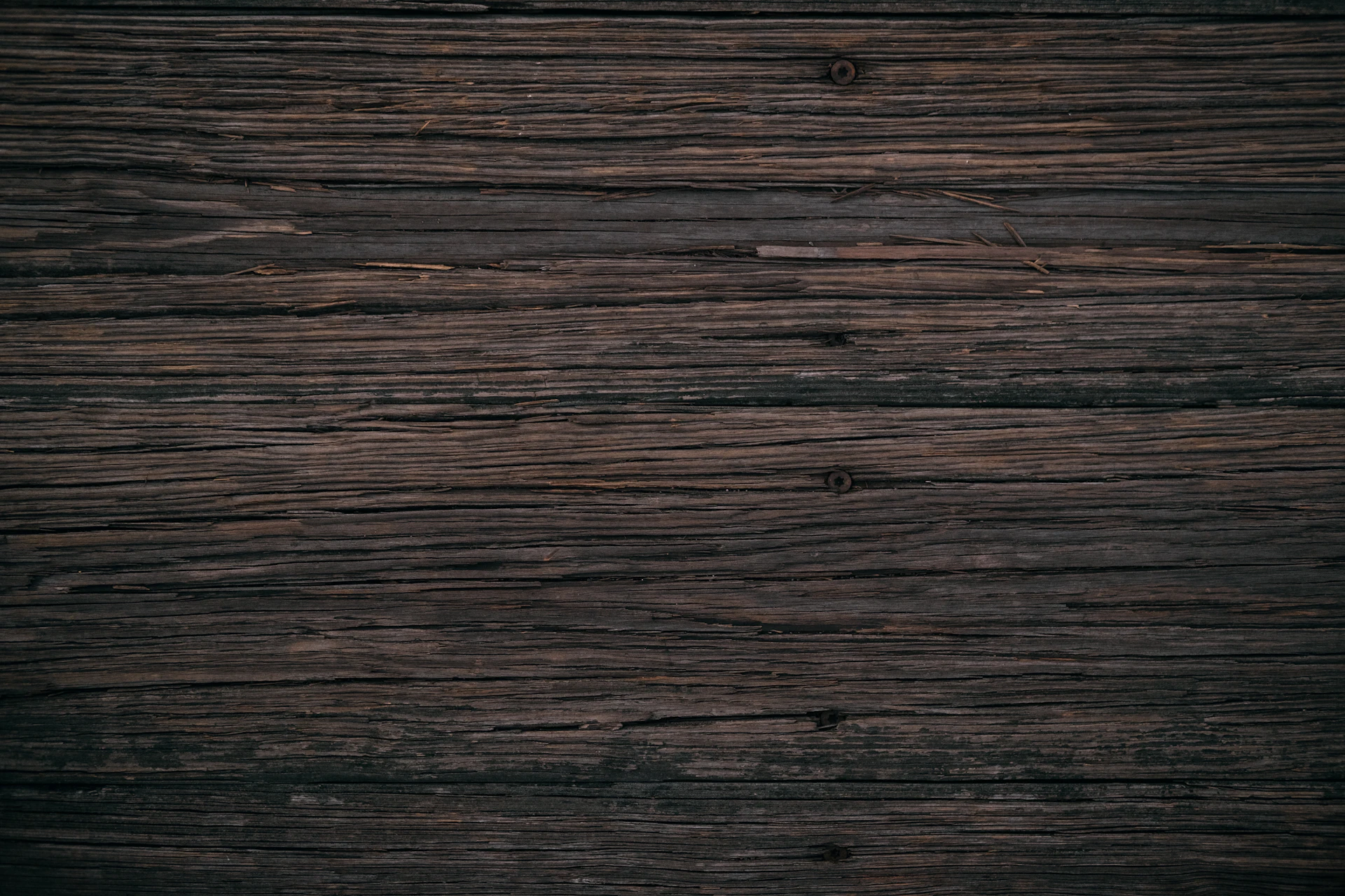 Timber Yard