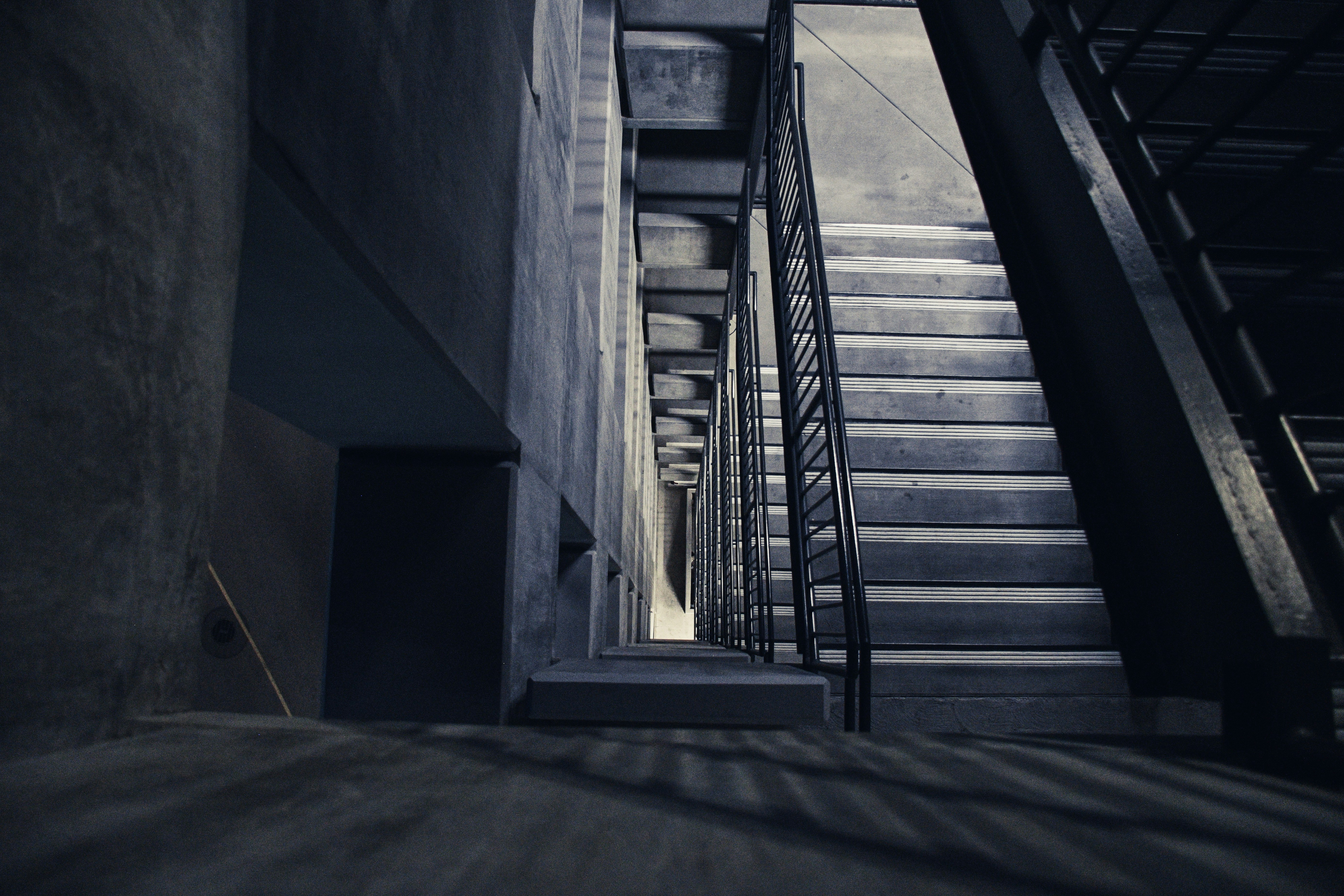 Photo by guss_bedolla