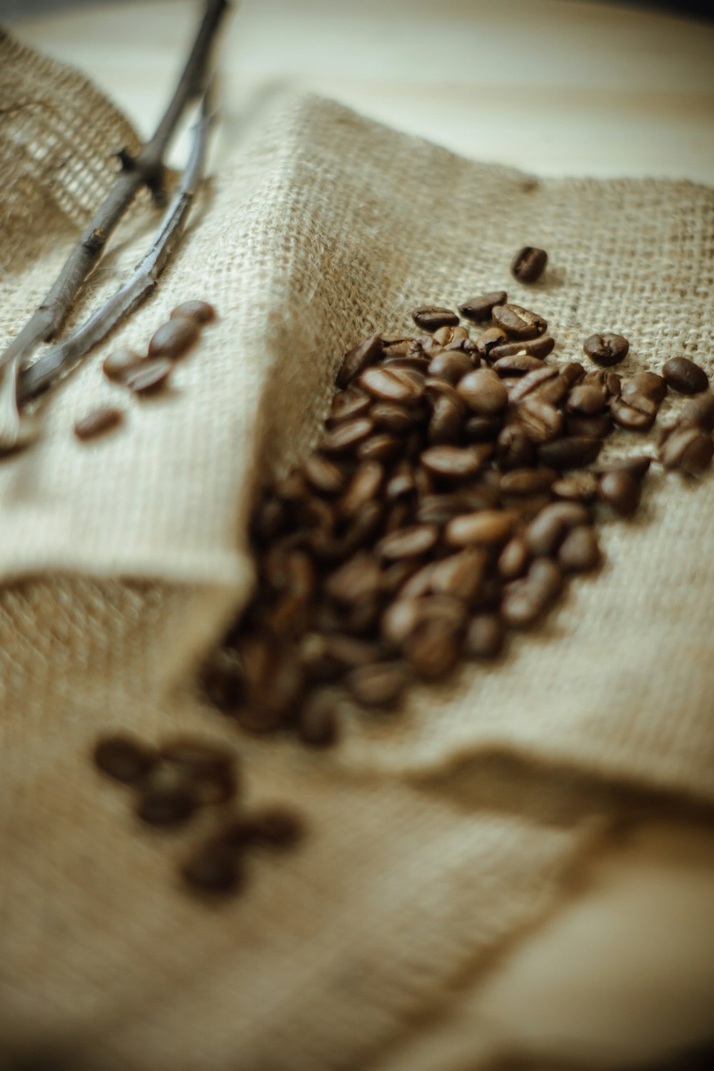 coffee beans on cloth