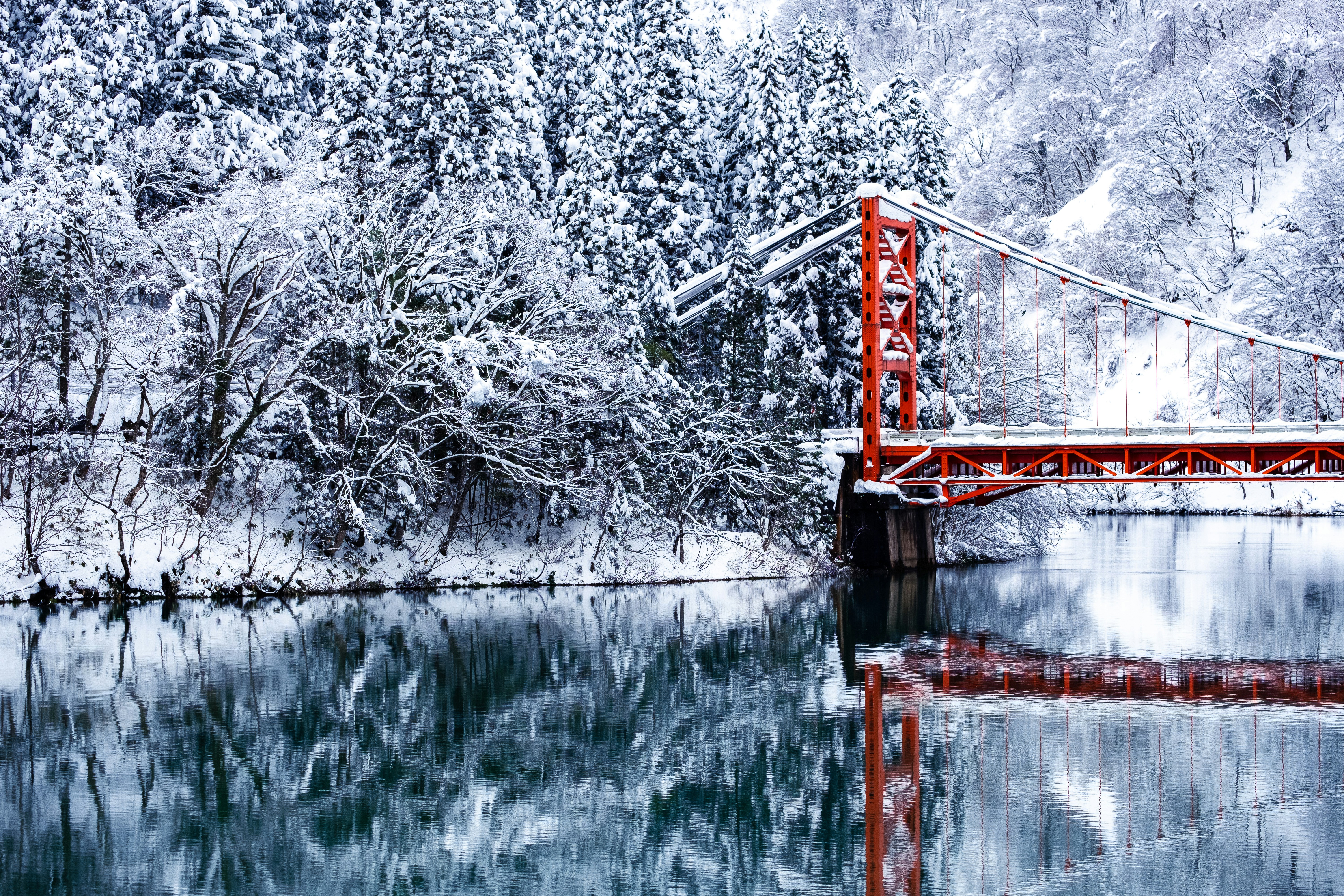 red suspension bridge near trees