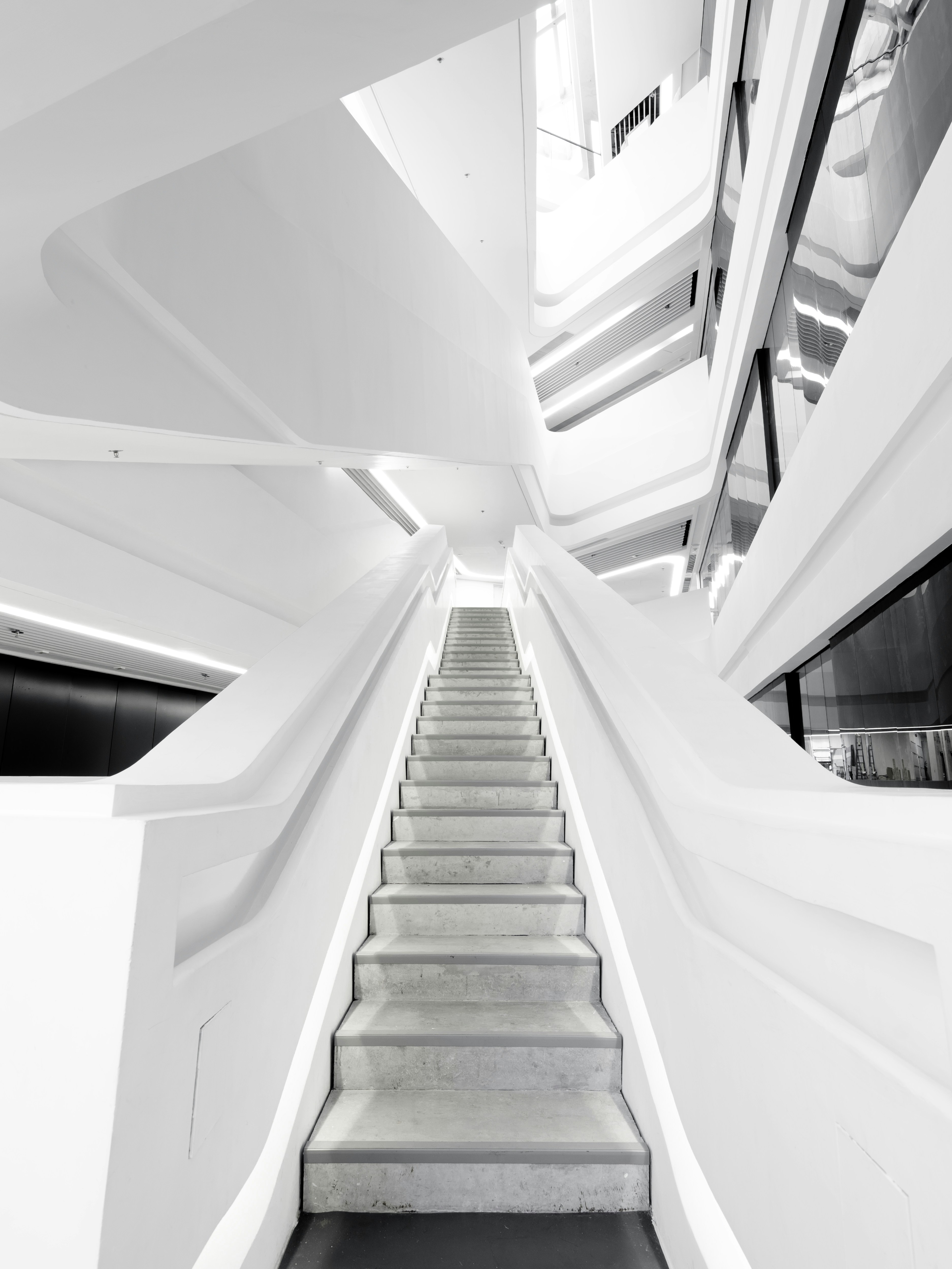 Photo by shirleyxugeng