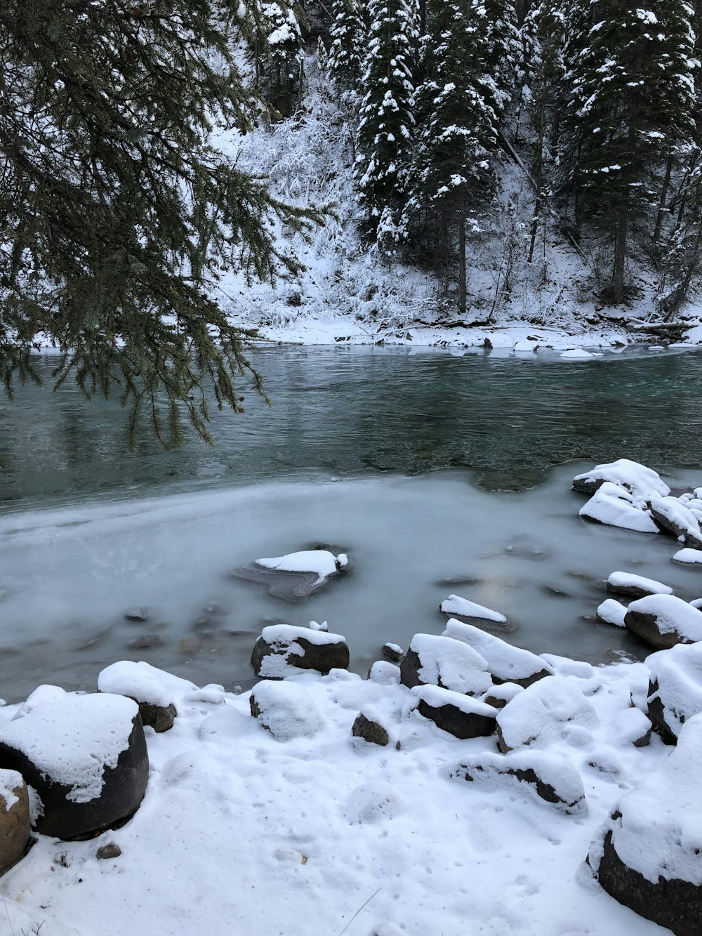 Río y árboles congelados