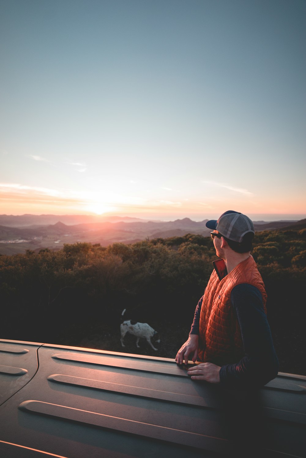 man looking on cow