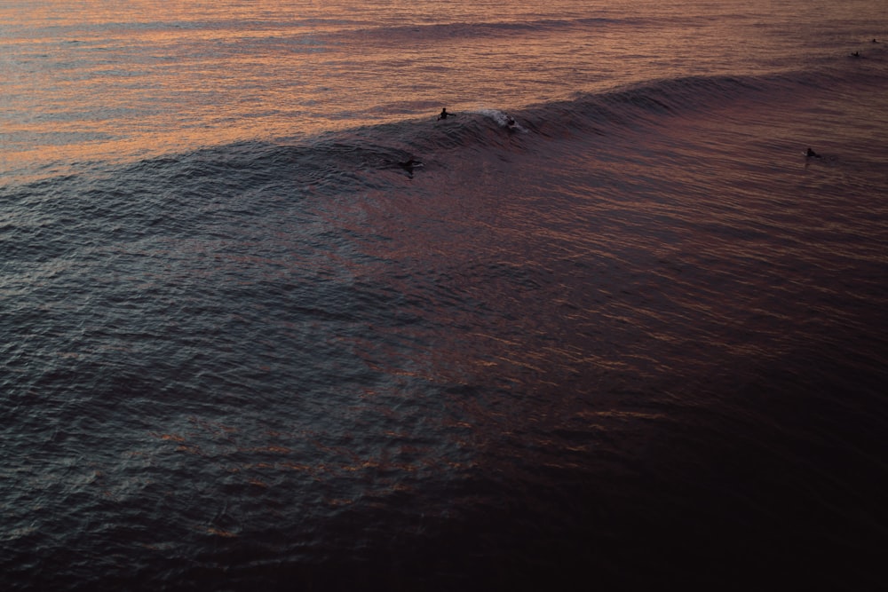 few people on body of water