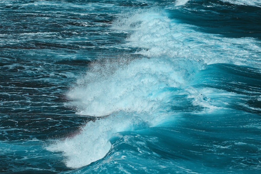 Sea Waves Crashing Photo Free Ocean Image On Unsplash