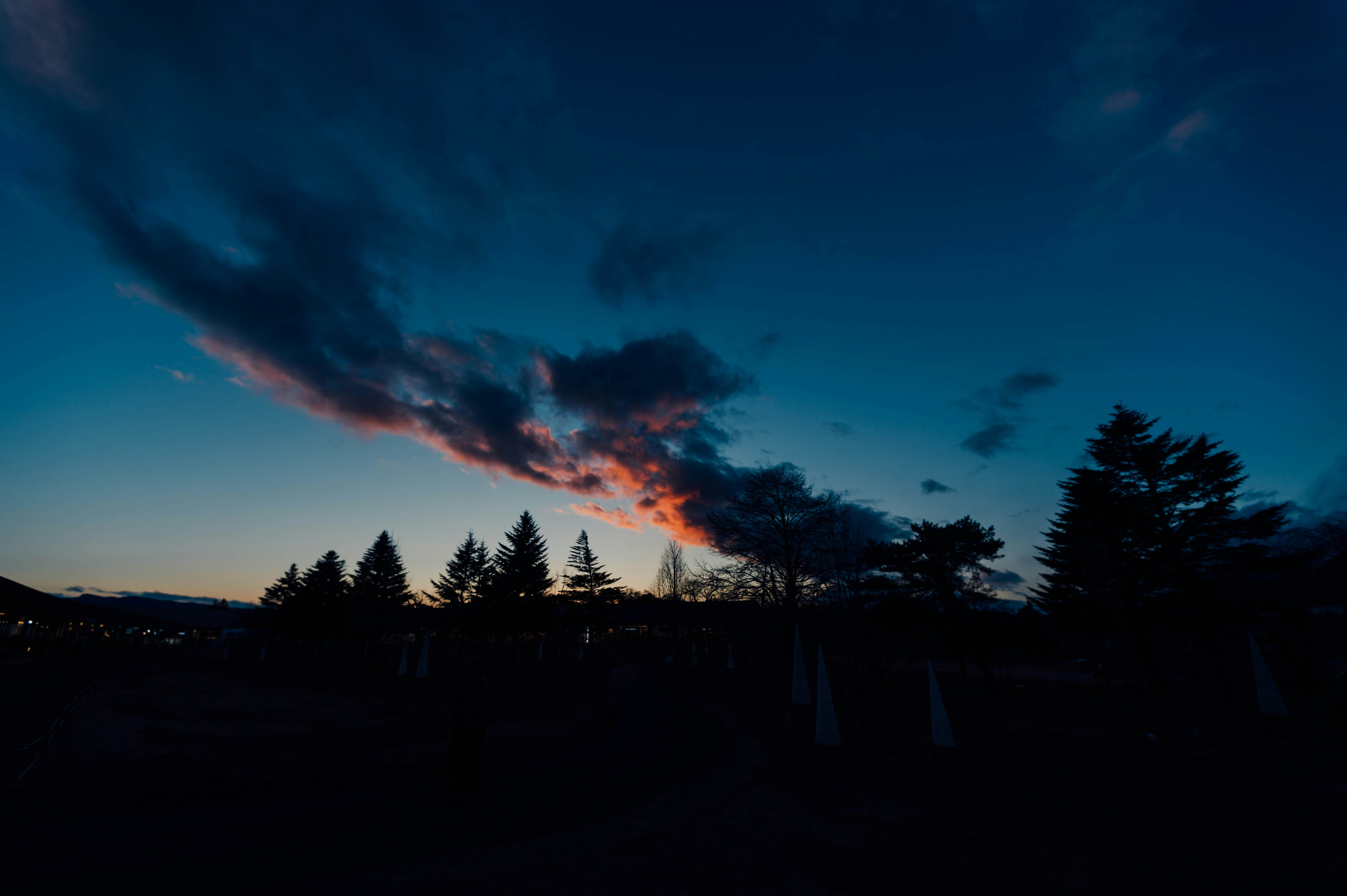 Photo by chuttersnap
