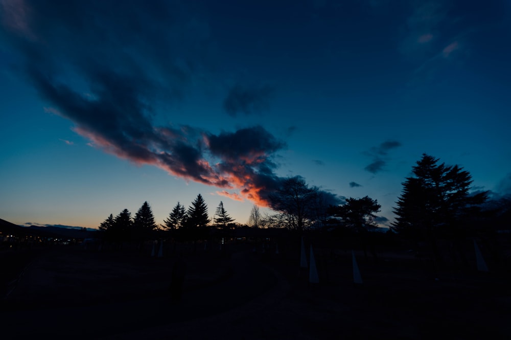 silhouette of tree under blue sky during nighttime