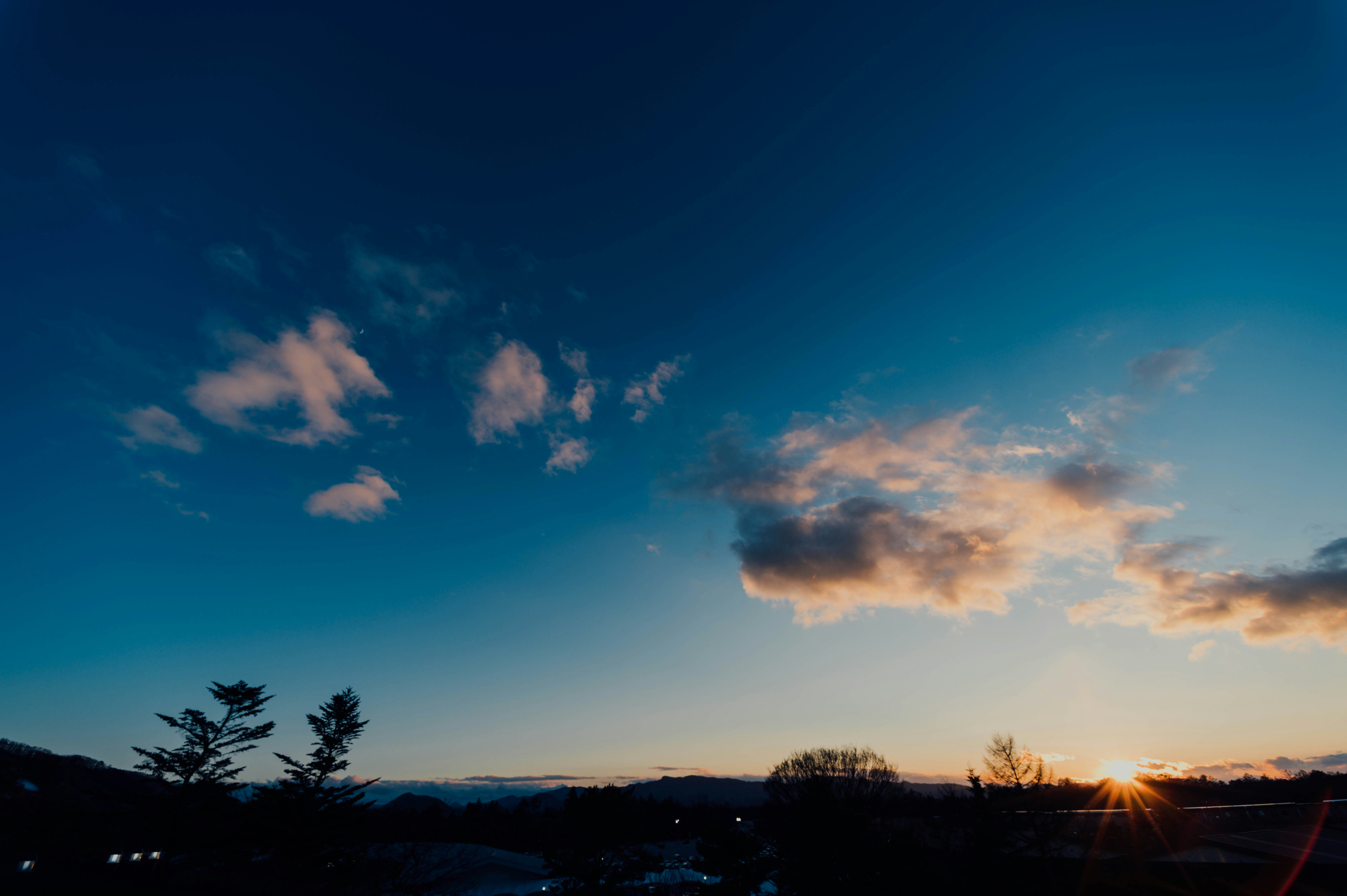 Photo by chuttersnap