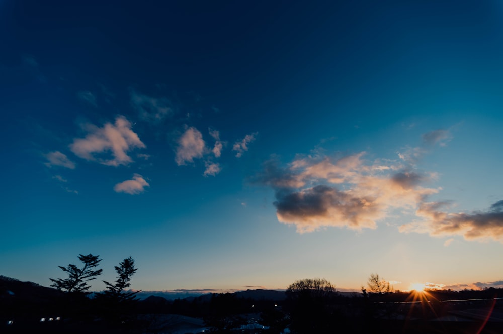 silhouette of trees under blue sky during sunset