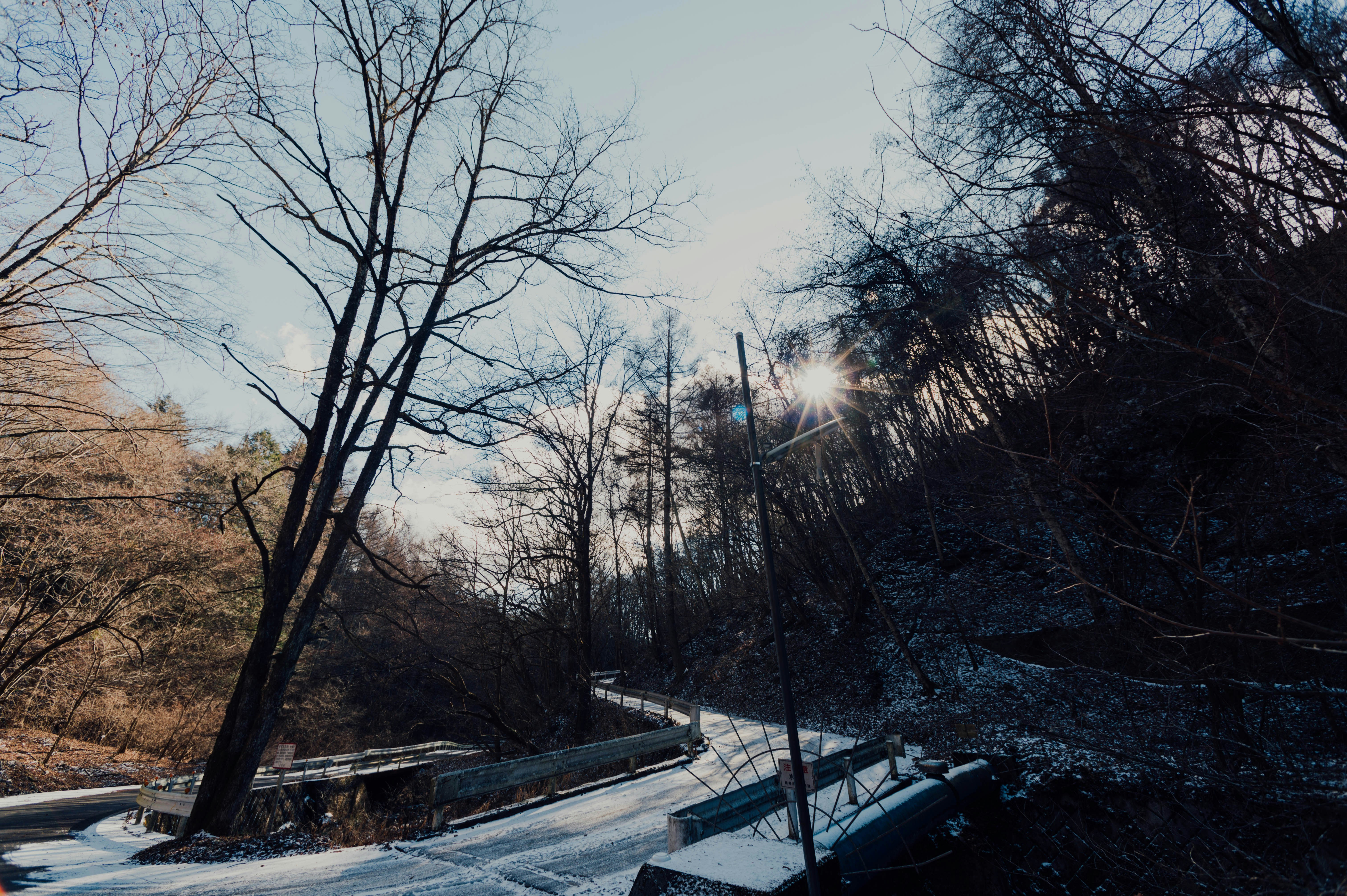 Photo by chuttersnap