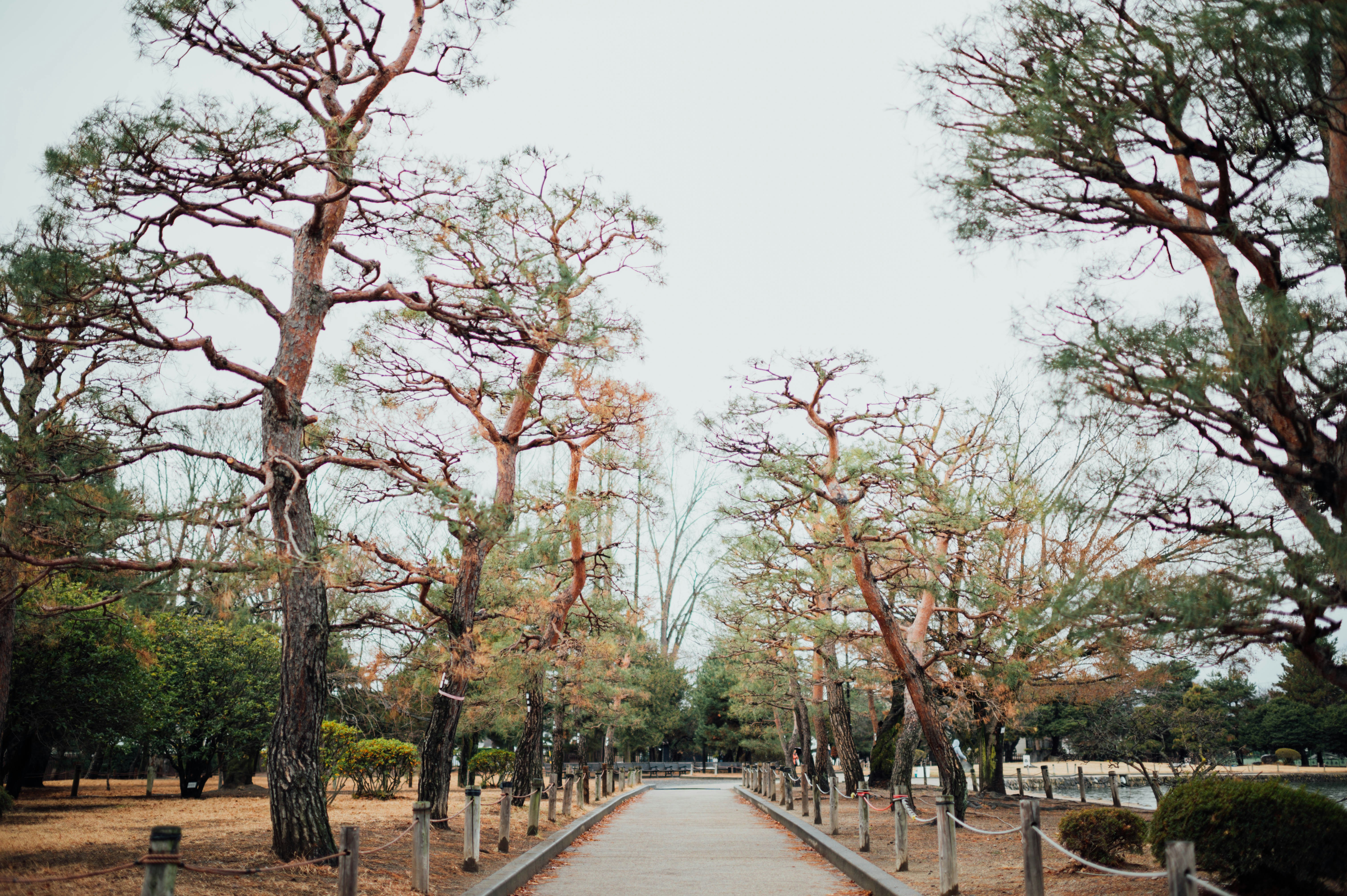 Photo by chuttersnap