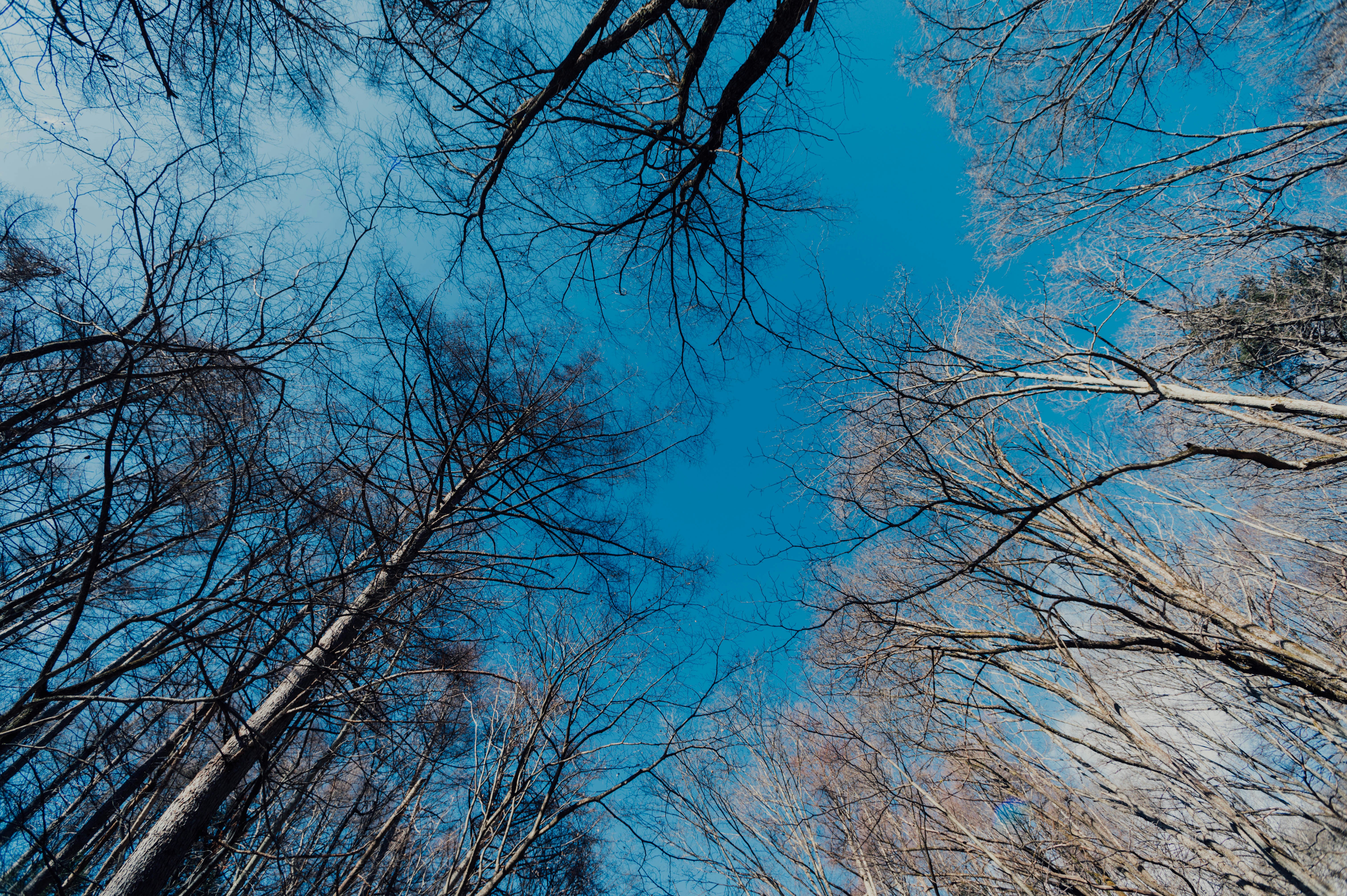 Photo by chuttersnap