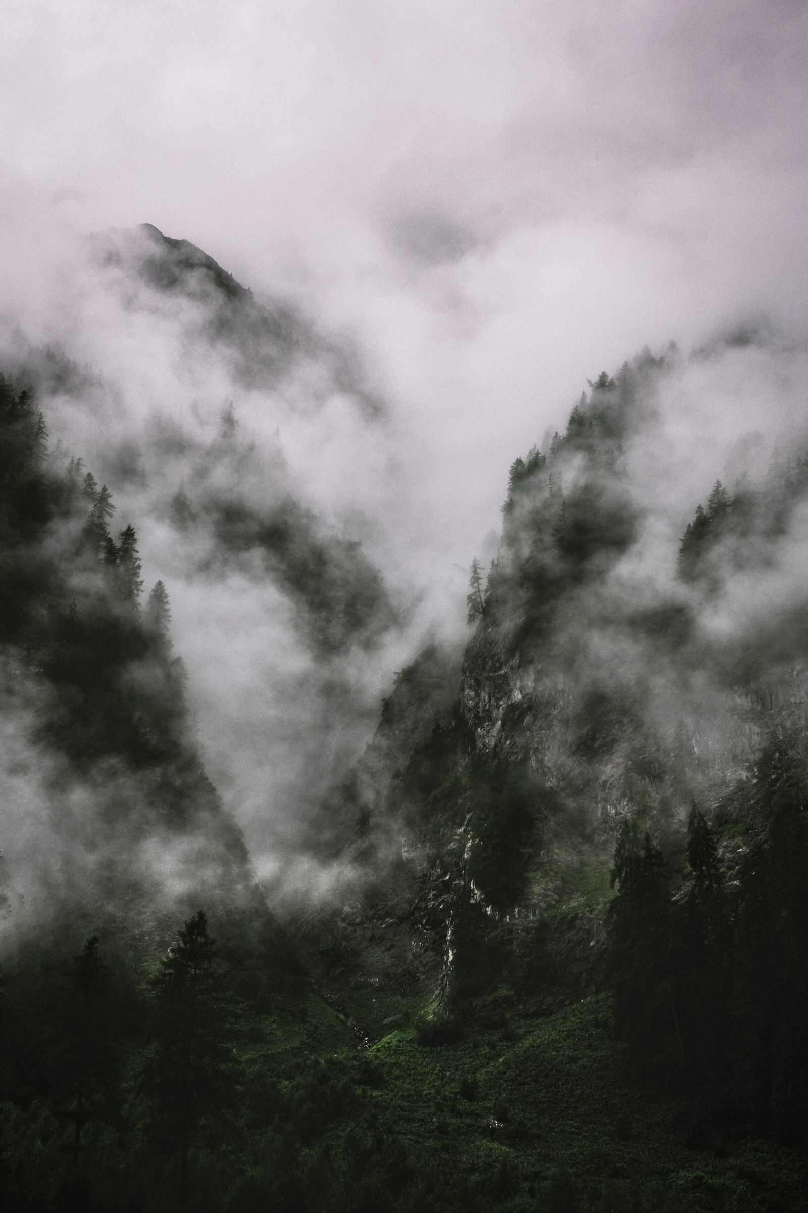 Canon EOS 6D + Canon EF 35-80mm f/4-5.6 sample photo. Green trees and mist photography