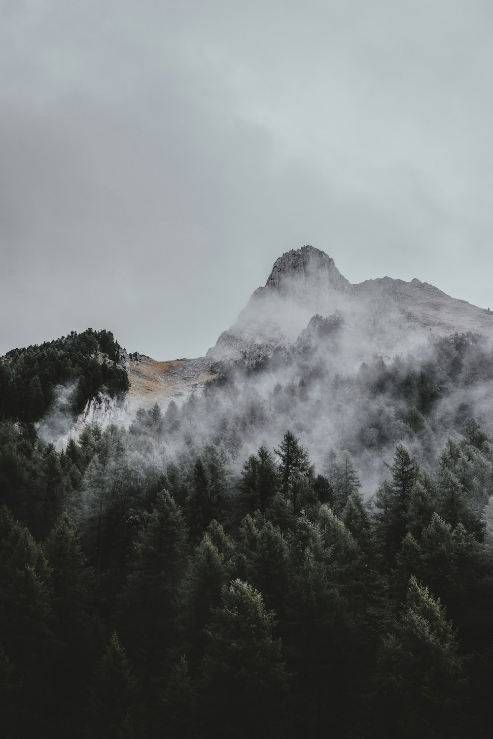 mountain covered by snow surrounded by trees