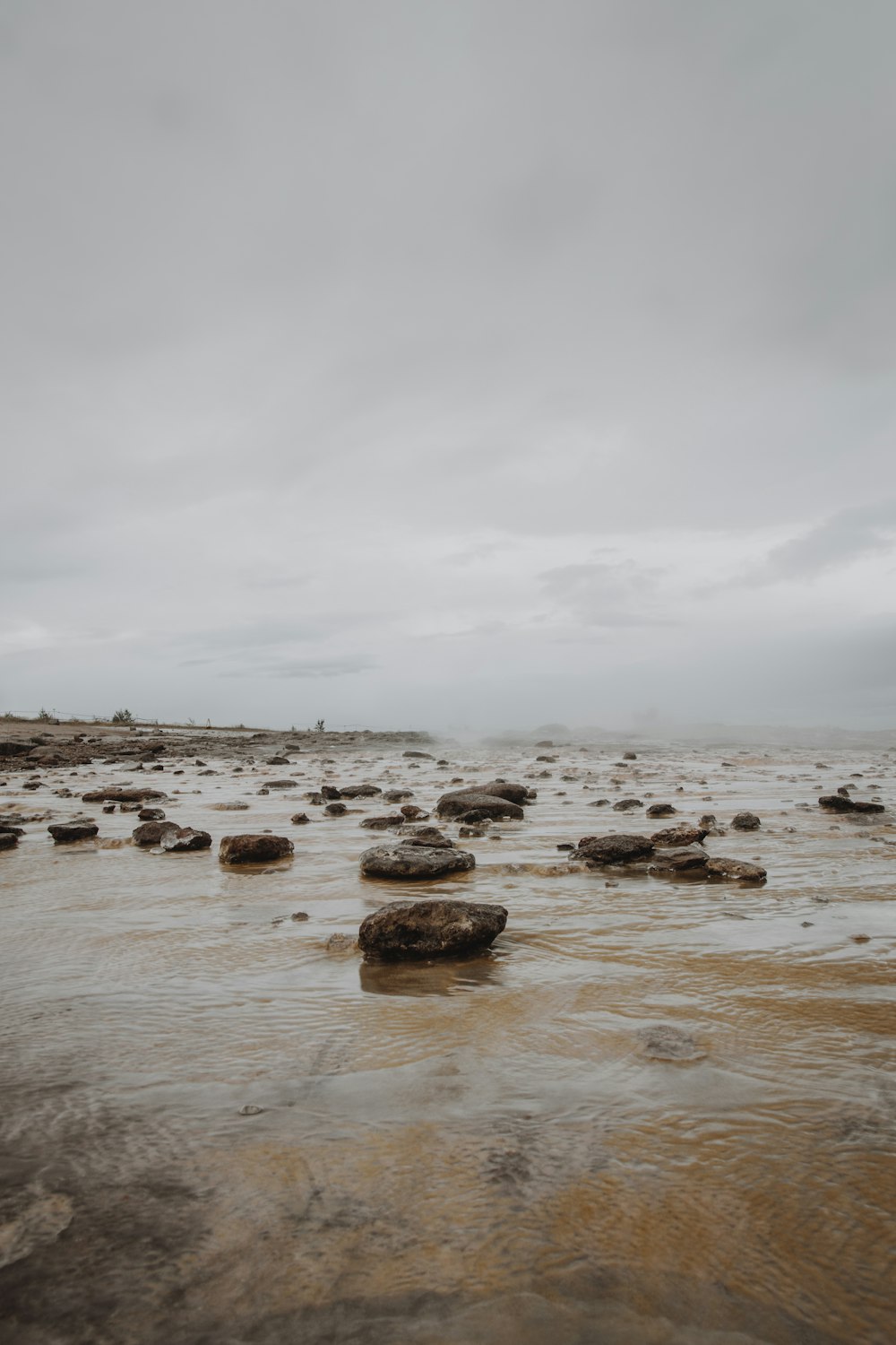 brown pebble on seashore