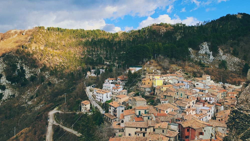 Maisons près des arbres