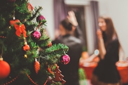 selective focus photography of Christmas tree