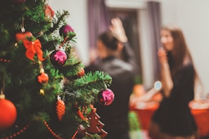 A festive holiday gathering with Allens decorating a Christmas tree, sharing warmth and joy.