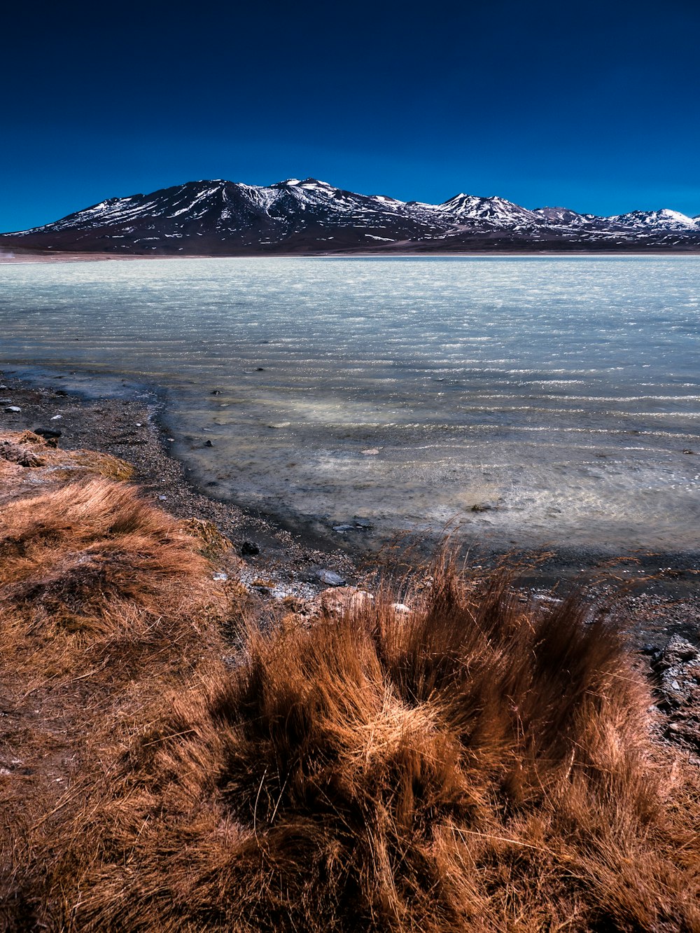 close-up photography of mountain