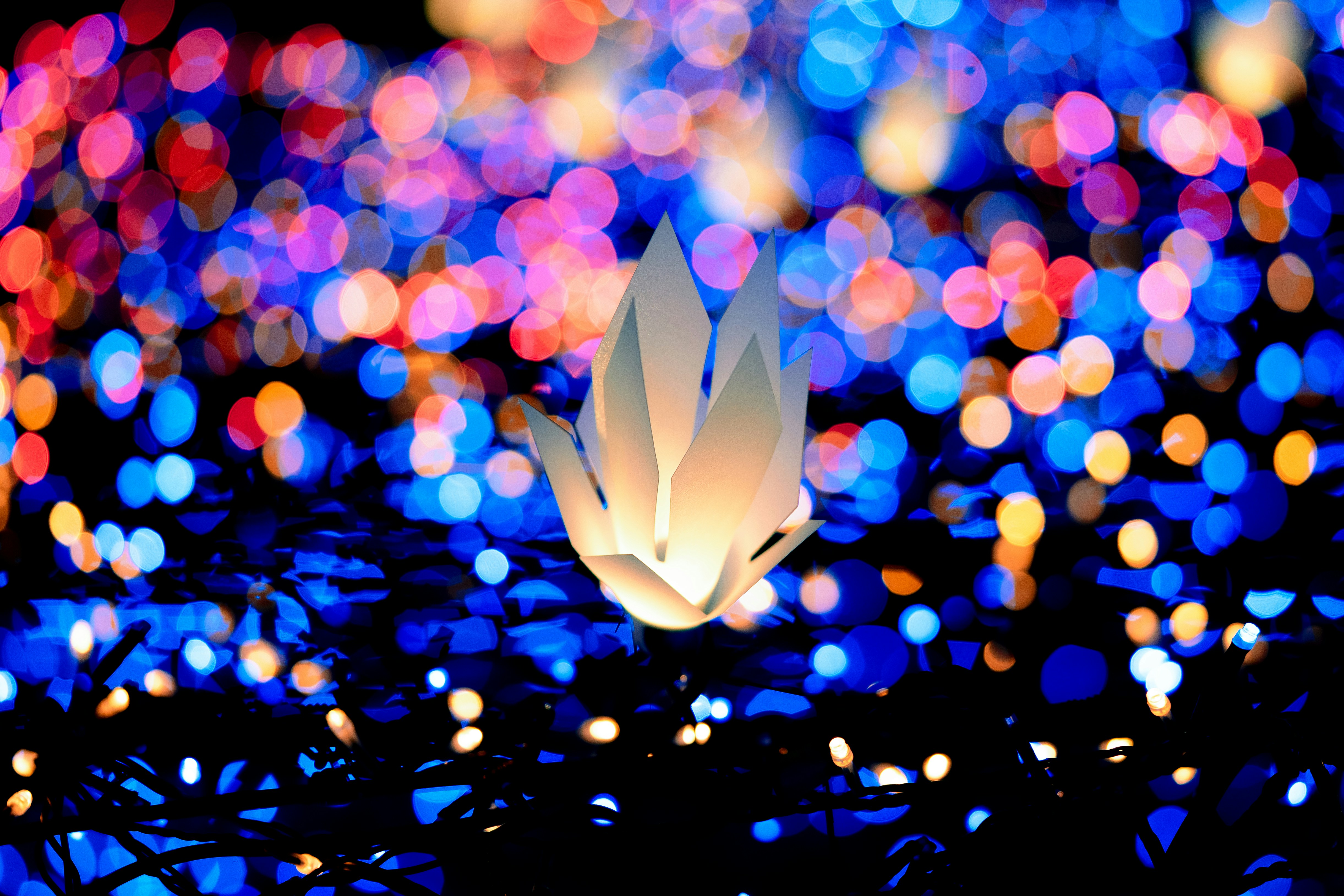 Fotografia Bokeh Flor Branca