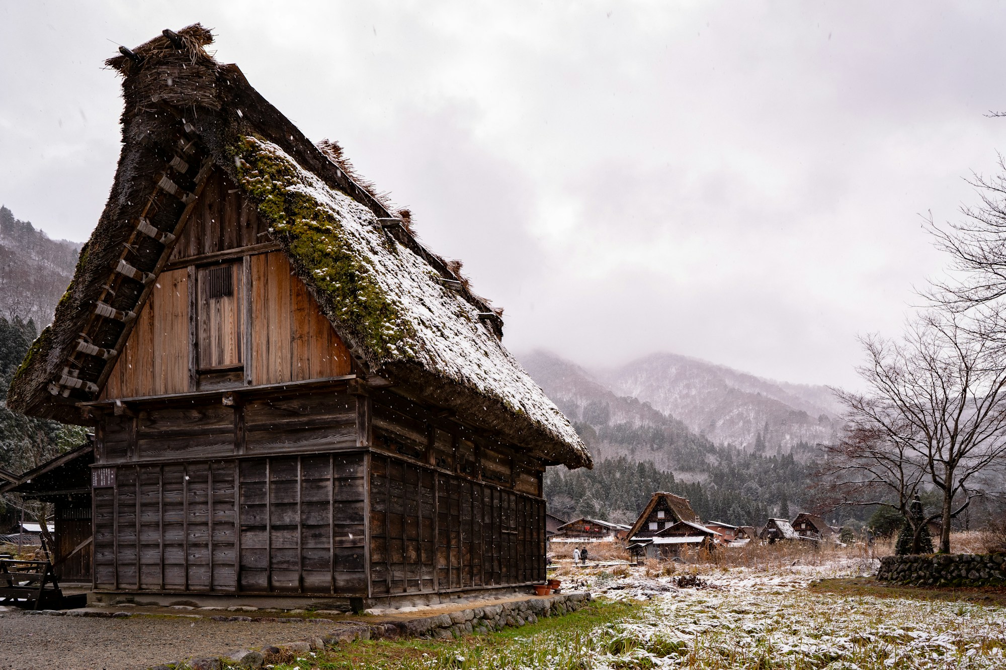Exploring Takayama: Local Cuisine and Traditional Recipes