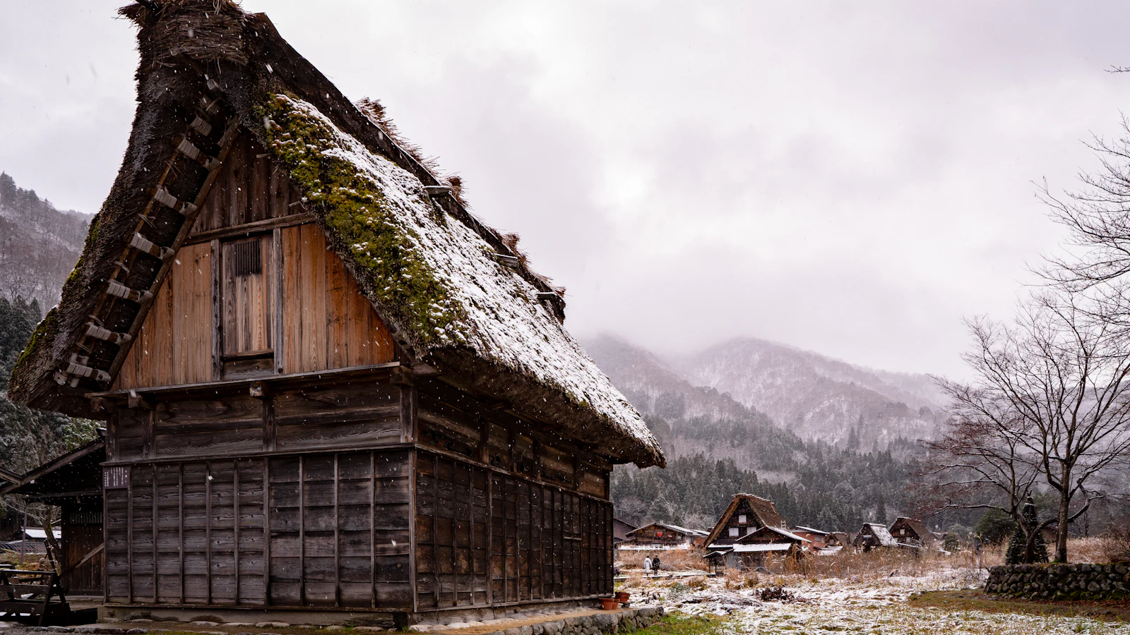 brown wooden house