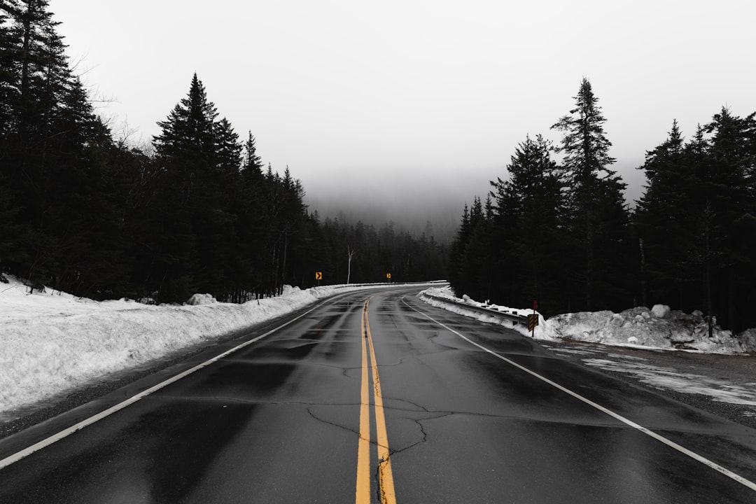 Снежок на дорогу падает. Зимняя дорога. Заснеженная дорога. Снег на дороге. Дорога зимой.