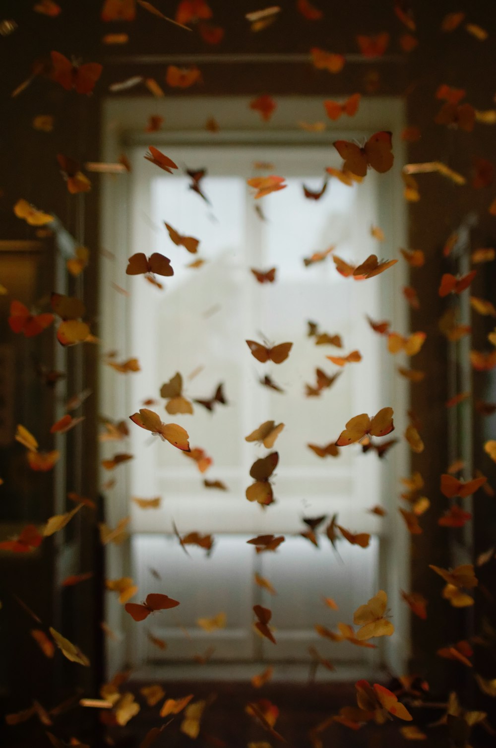 Lot de papillons jaunes et oranges