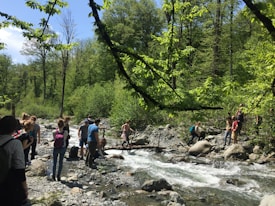 A group of people are gathered near a small, flowing river surrounded by a lush green forest. Some individuals are crossing the river using a makeshift wooden bridge, while others stand on the rocky riverbank. The scene is set under a clear blue sky with sunlight filtering through the dense foliage.