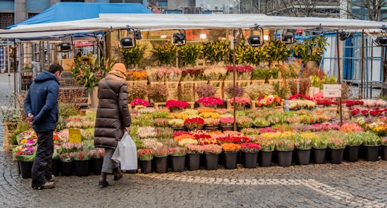 A bustling outdoor flower market stall is filled with various vibrant flowers arranged in neat rows of pots. Two people are observing the display, one carrying a shopping bag. The scene is lively and colorful, with an array of flowers including tulips, roses, and lilies. Overhead lights illuminate the stall, and a cobblestone path is visible in the foreground.