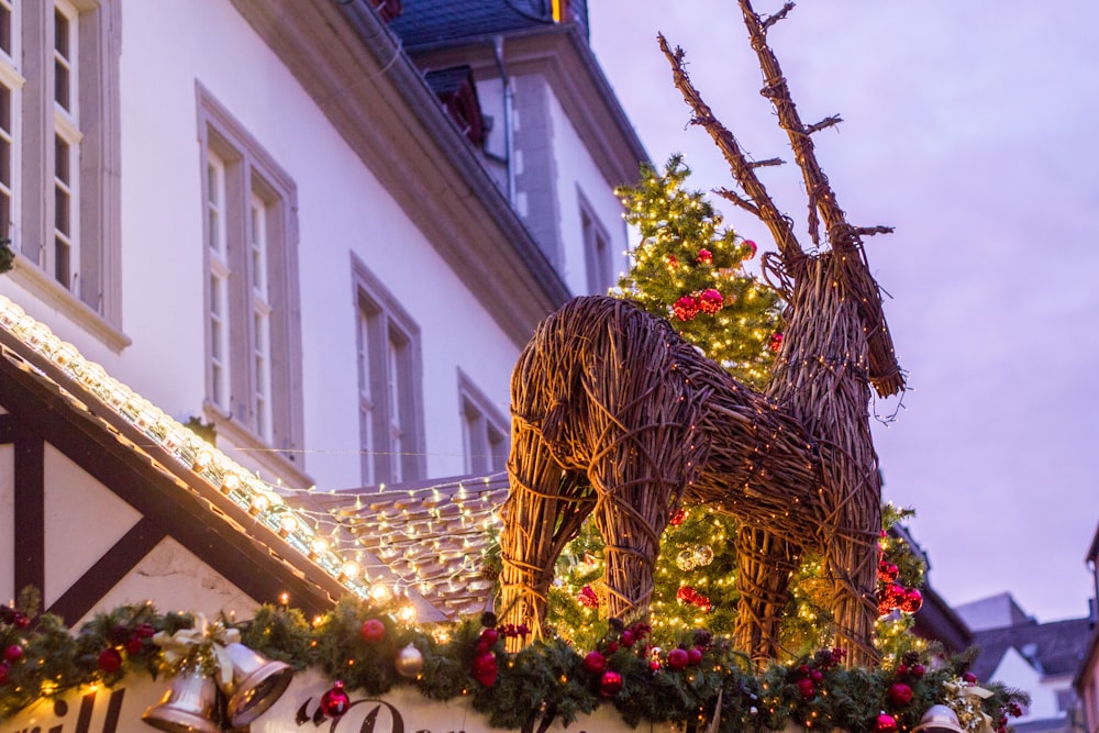 low angle photo of lighted deer topiary