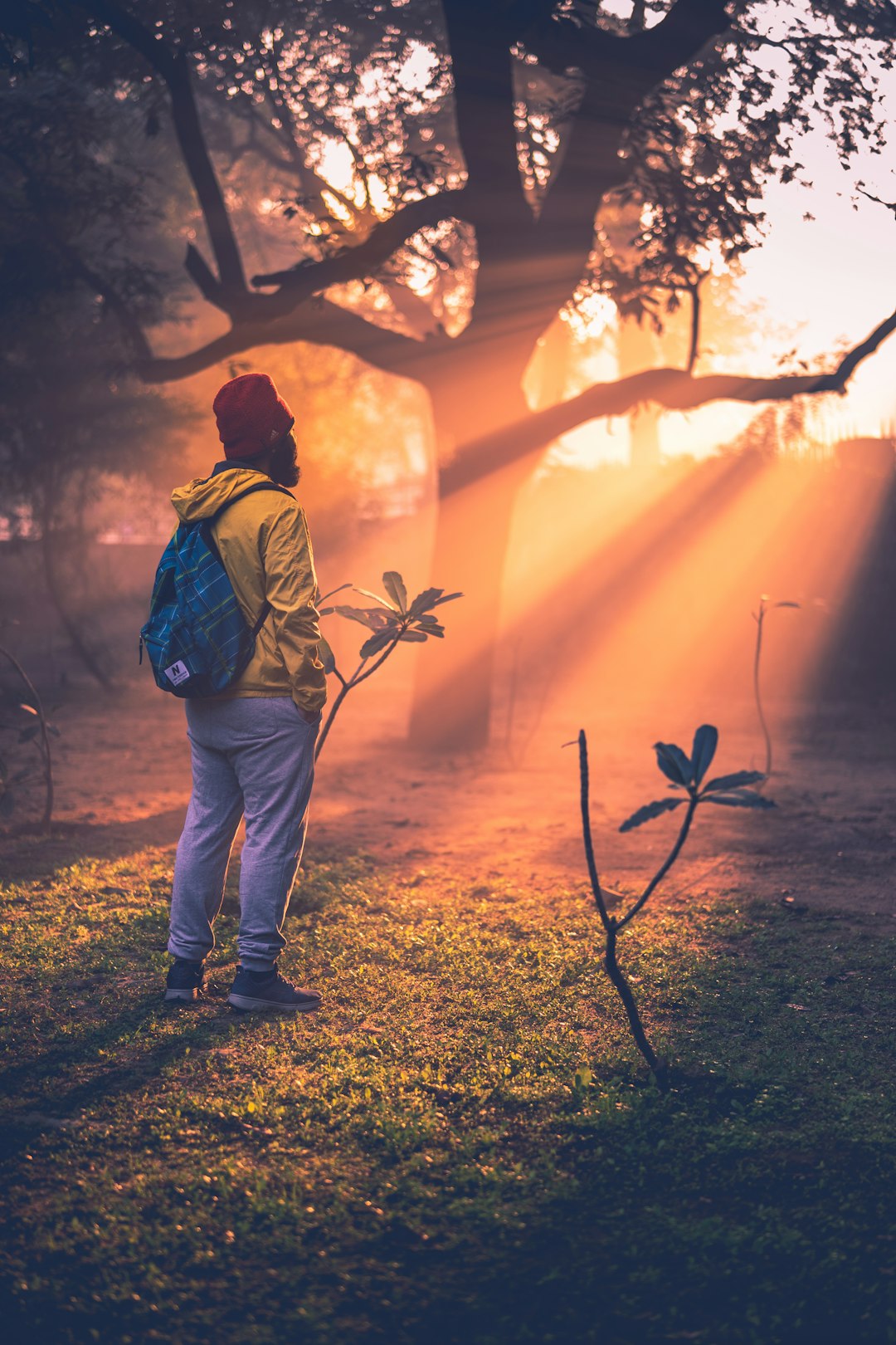 man standing near trees while hands on pocket during golden hour