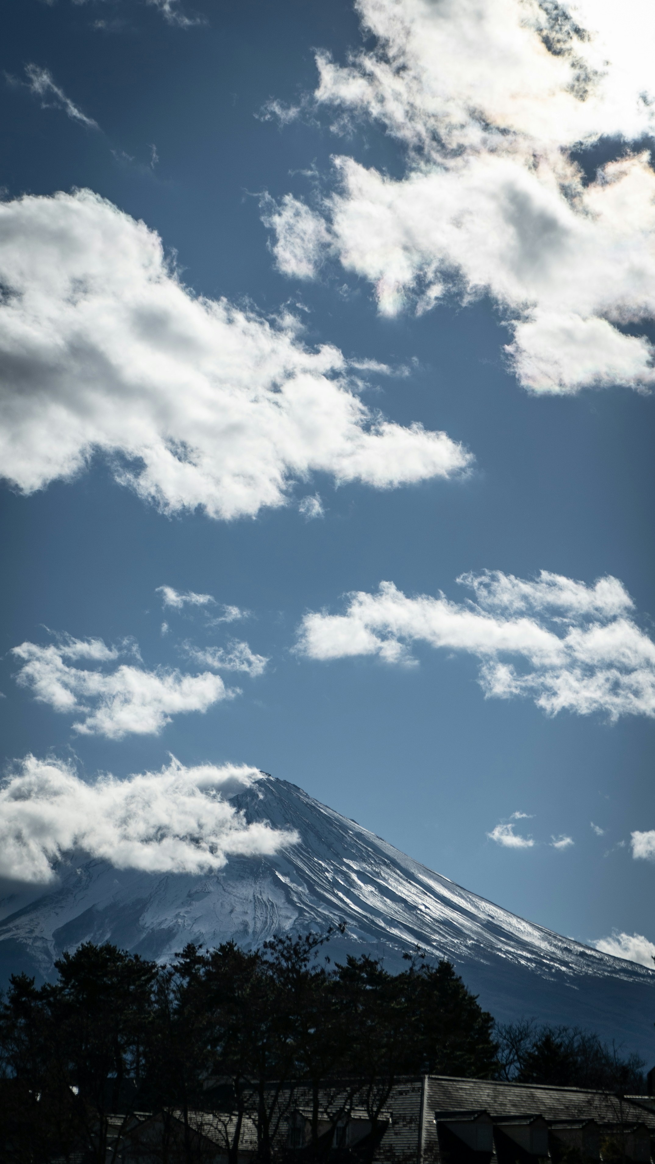 Photo by hnyuuu