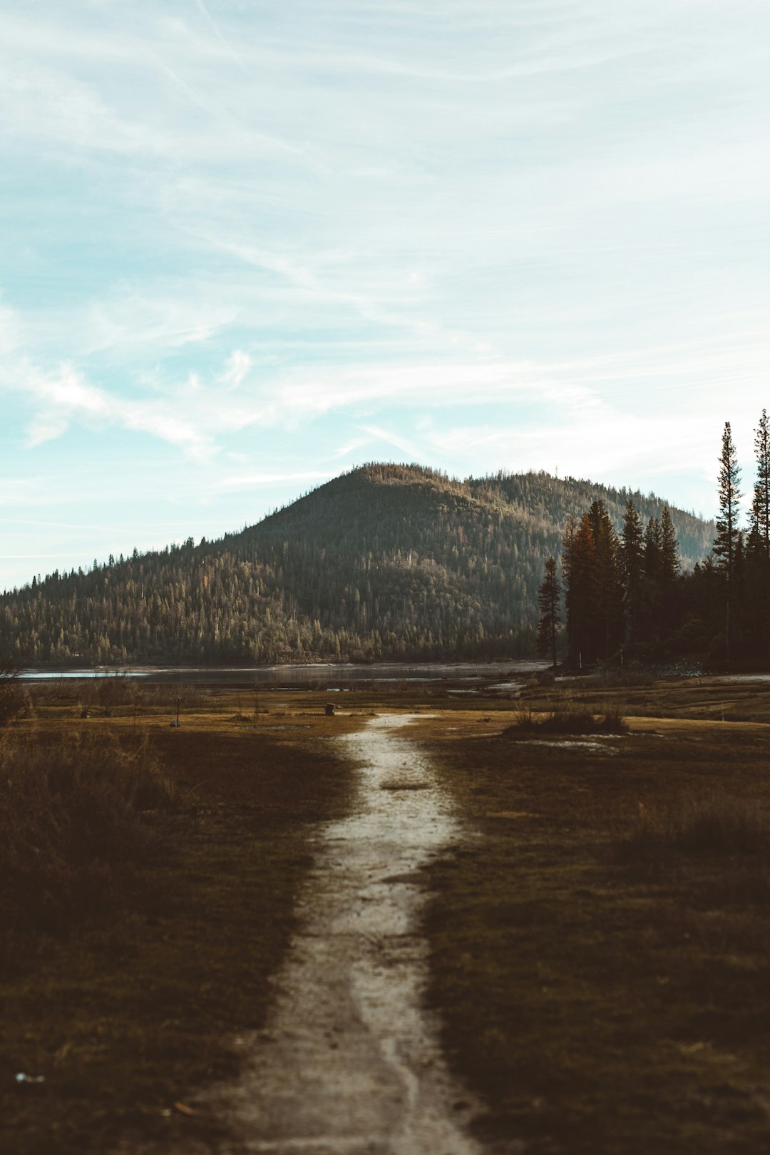 pathway facing mountain