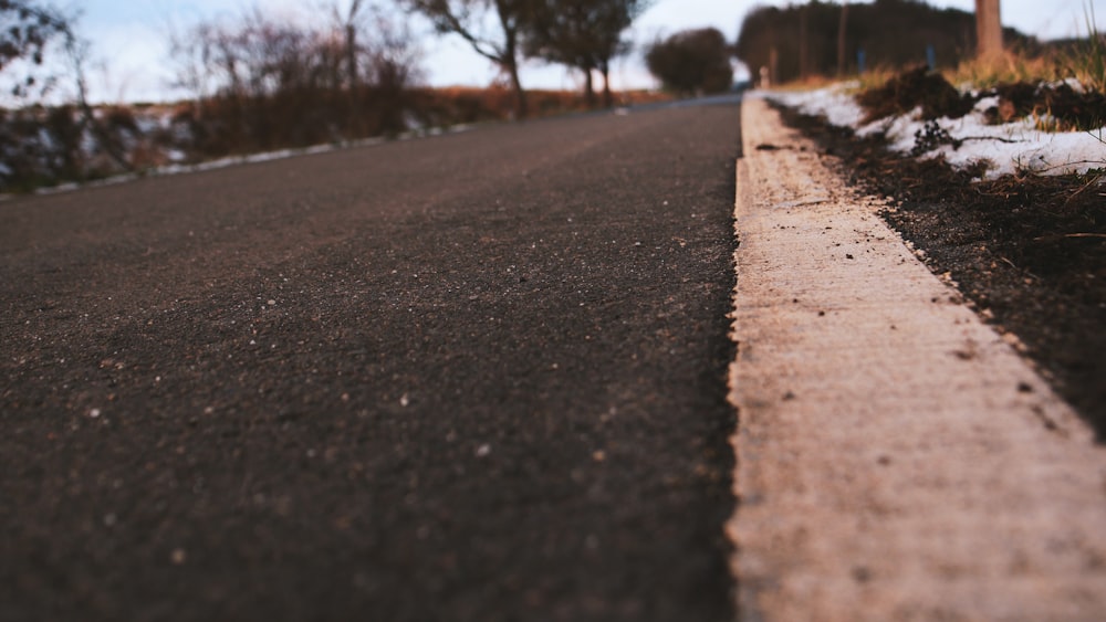 gray concrete road beside trees