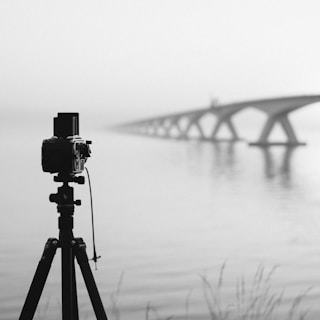 camera on tripod by body of water during foggy weather
