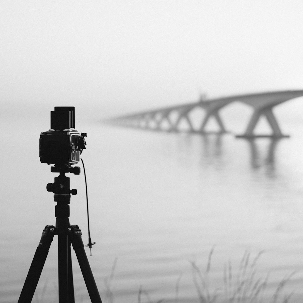 camera on tripod by body of water during foggy weather