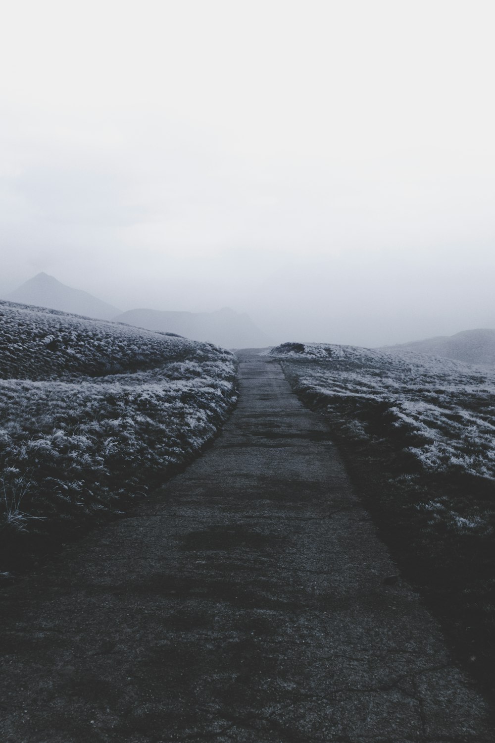 empty pathway during foggy weather