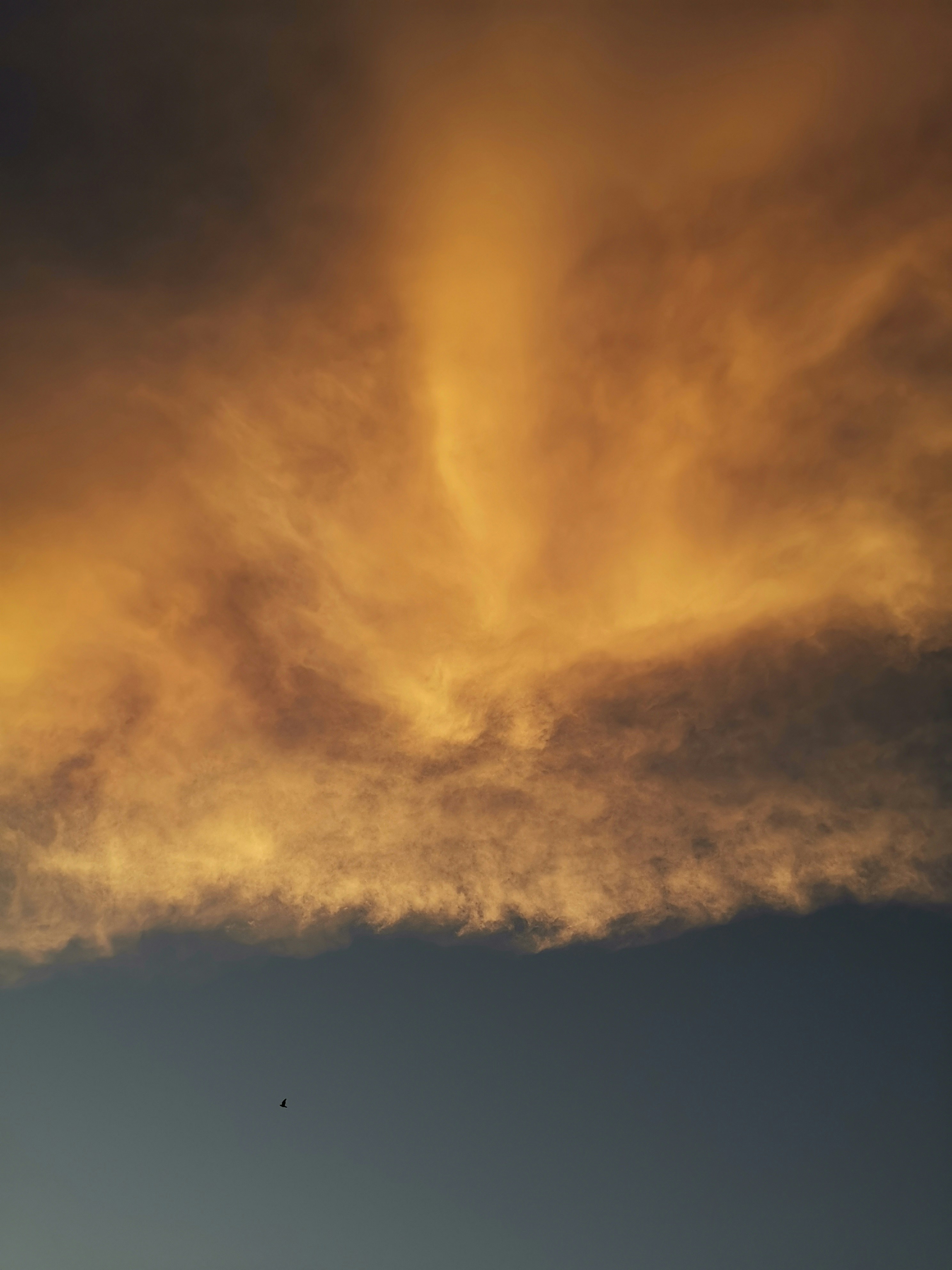 Photo by ahmeddinho91