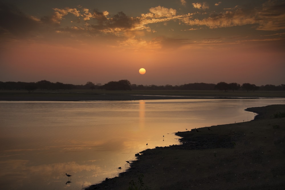 body of water during golden hour