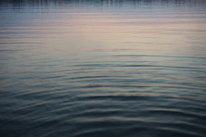 Gentle ripples on a serene mountain lake reflecting the early morning sky.