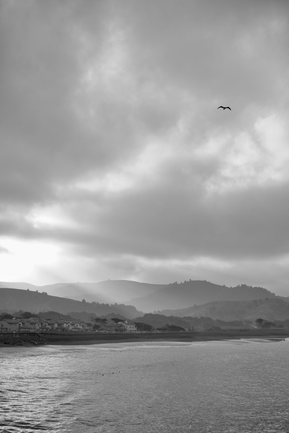 grayscale photography of bird flying near mountian