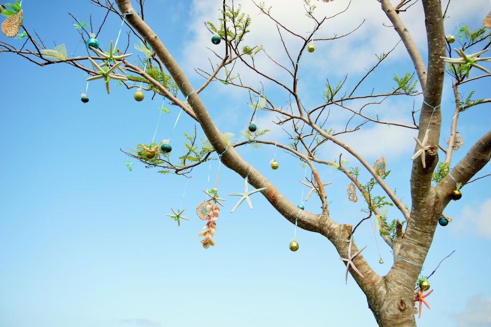 Baum mit Weihnachtskugeln unter bewölktem Himmel