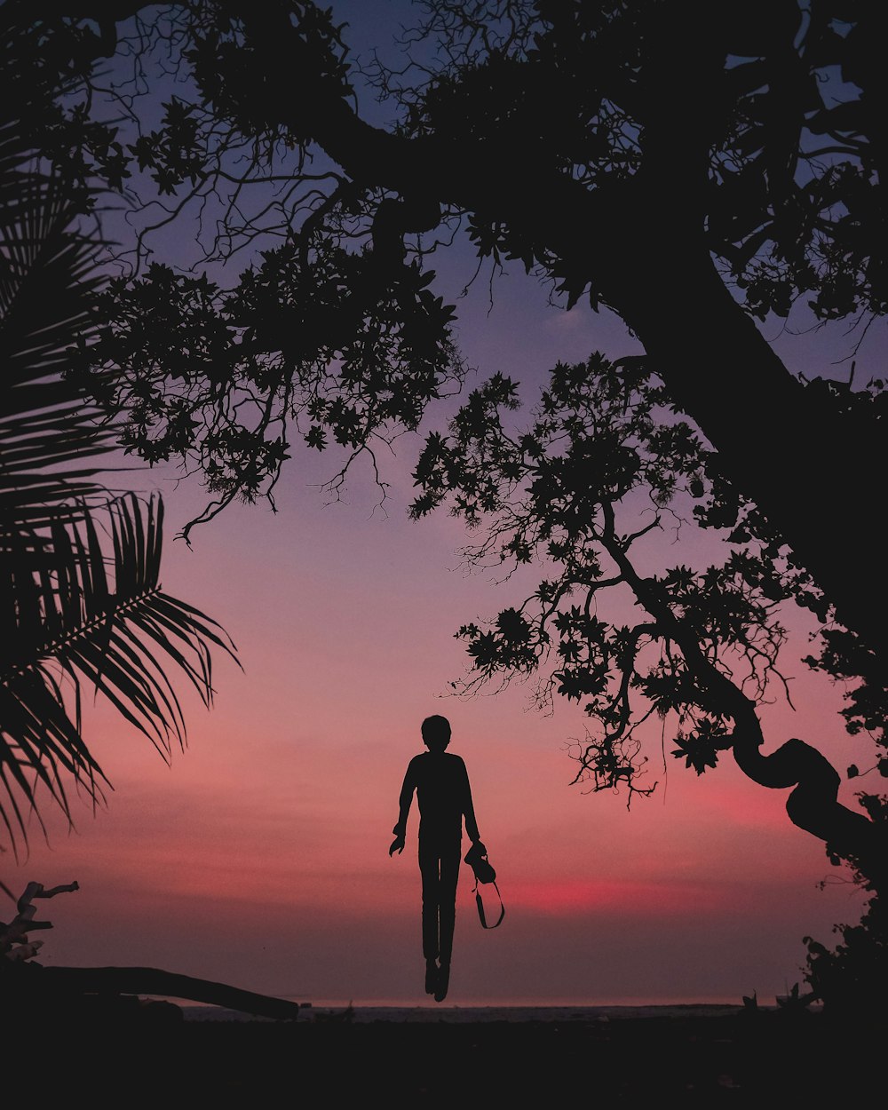 silhouette of person standing on seashore