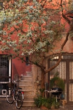 A cozy outdoor terrace with a bicycle leaning against a rustic wall, bathed in warm sunlight.