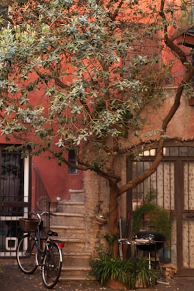 A cozy outdoor terrace with a bicycle leaning against a rustic wall, bathed in warm sunlight.