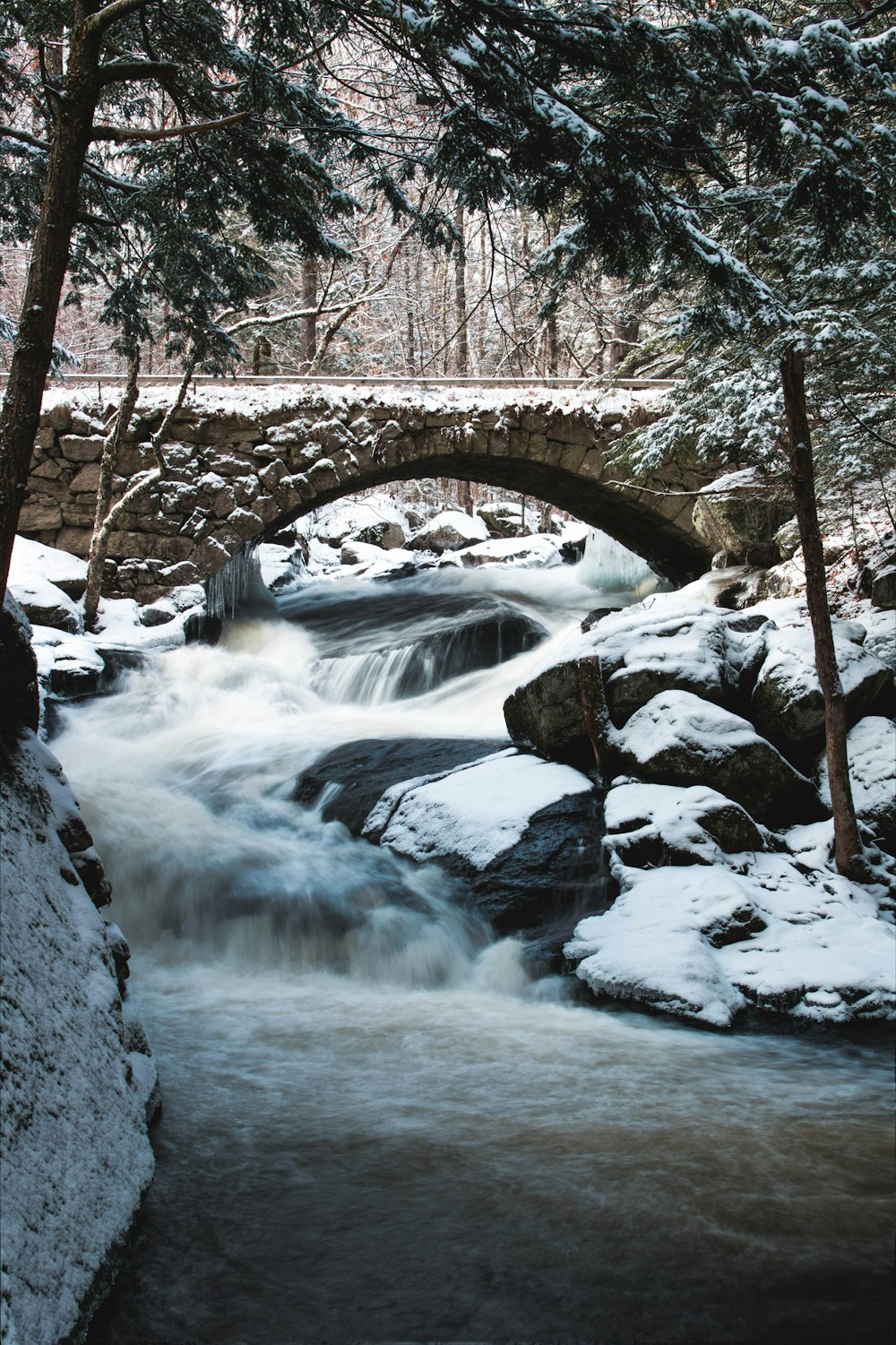 river with bridge surrounded by trees during daytime