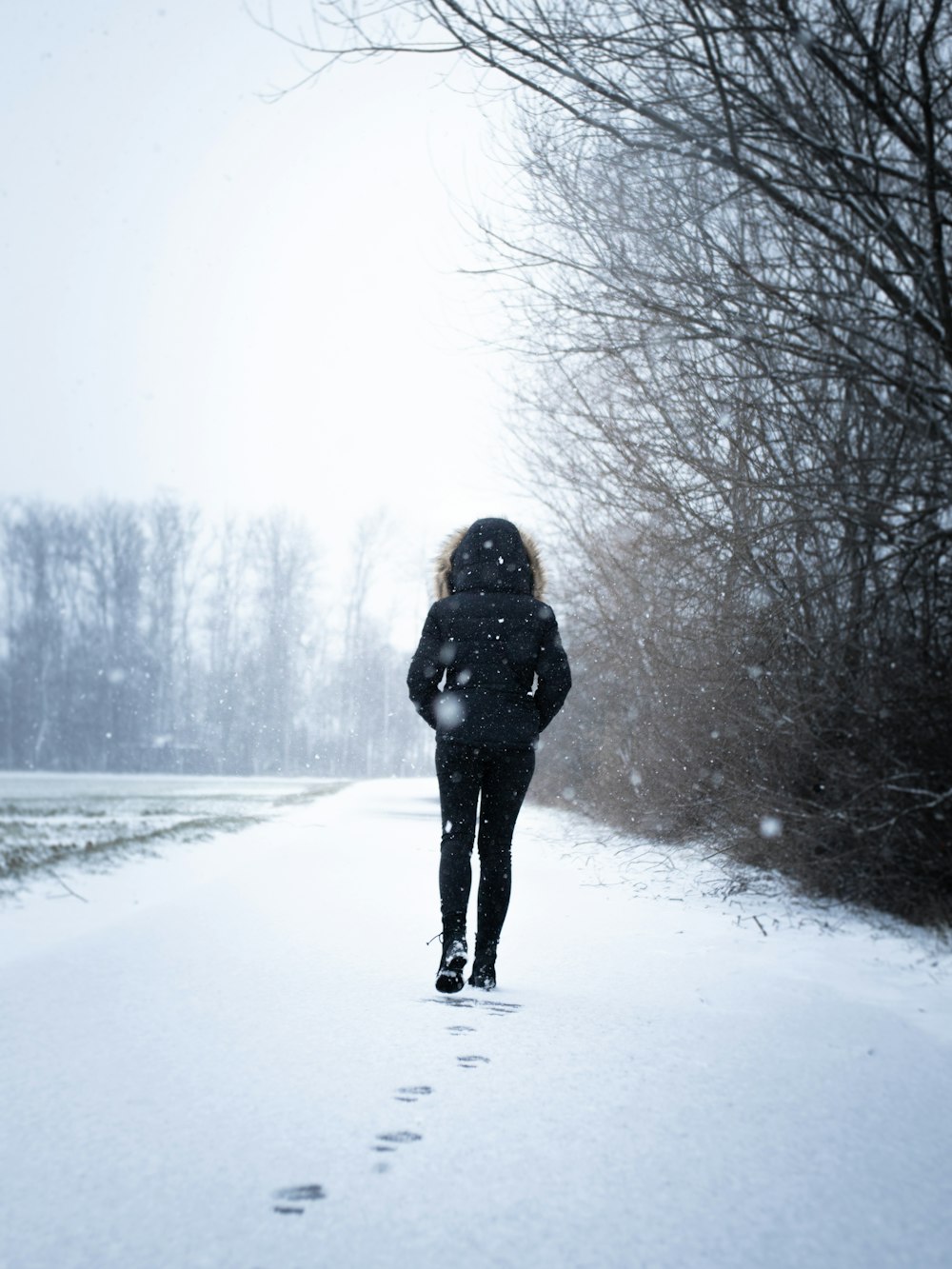 person standing beside bare trees