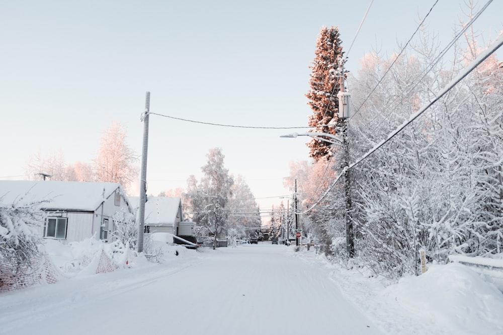 snowfield near house