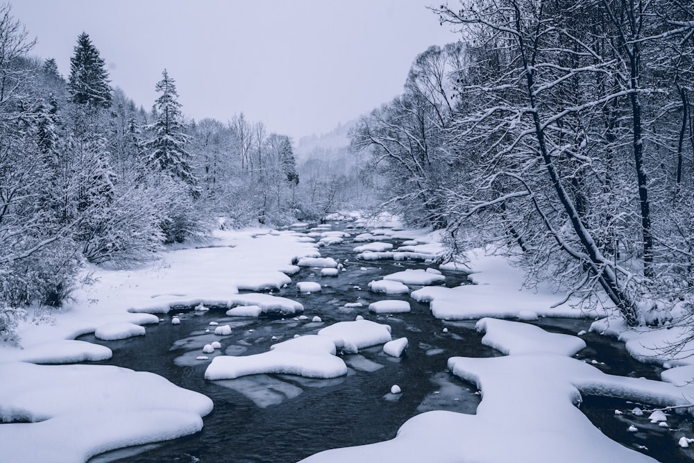 river covered with snow